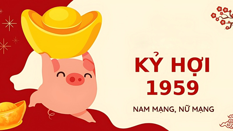 Màu sắc tương hợp cho tuổi Kỷ Hợi