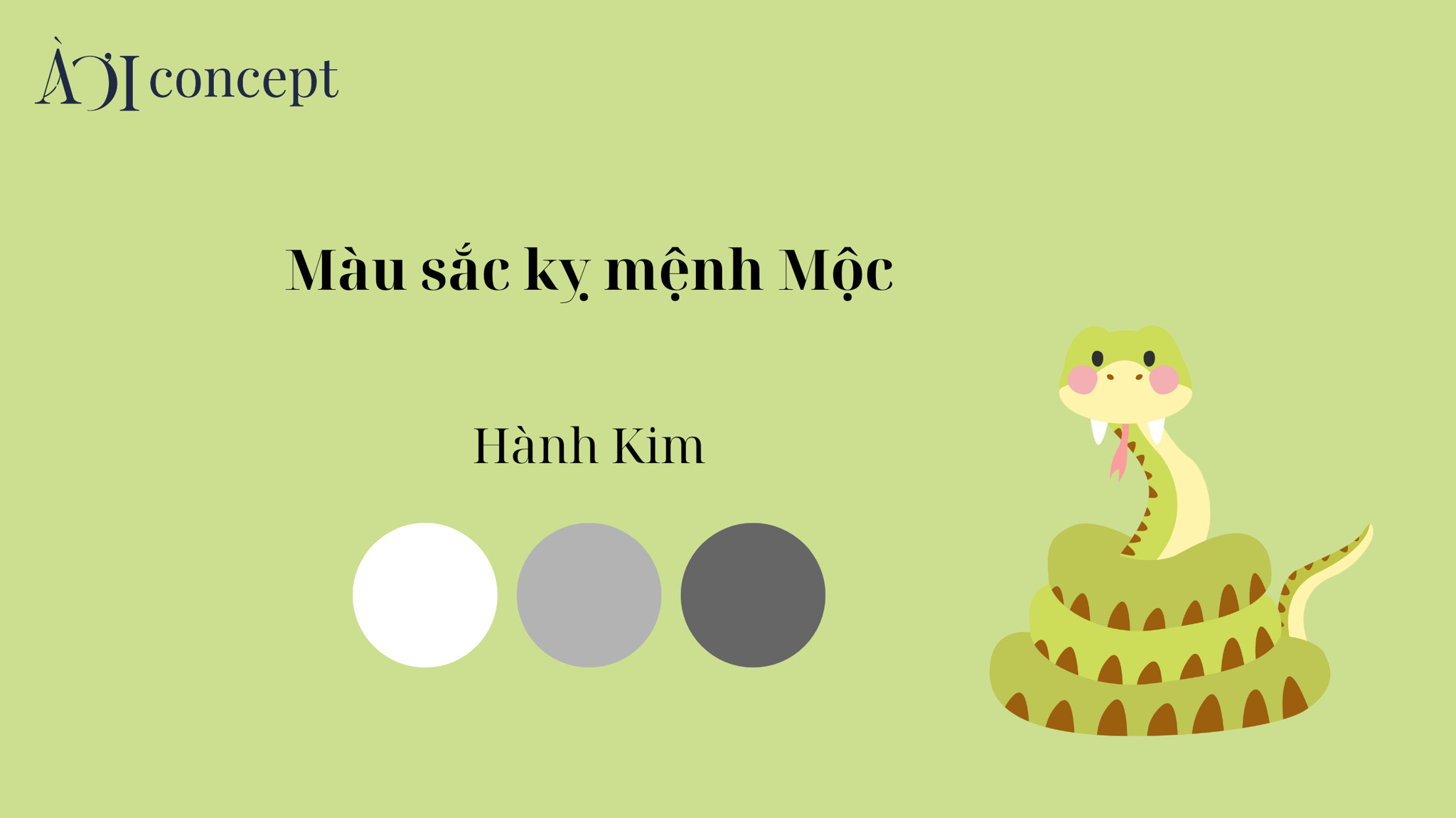 Màu sắc tương khắc cần tránh cho người tuổi Tỵ 1989 theo ngũ hành