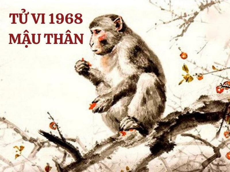 Mậu Thân sinh năm 1968 có một năm cả may mắn và thách thức
