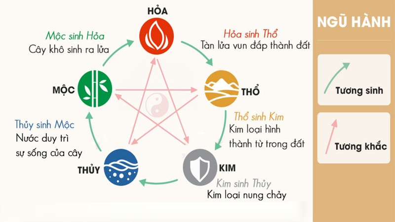 Mệnh Mộc của người sinh năm 1973 có các mối quan hệ tương sinh và tương khắc đặc trưng