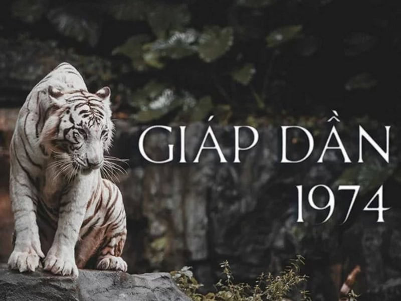 Mối quan hệ vợ chồng nam Giáp Dần 2025 cần sự thấu hiểu