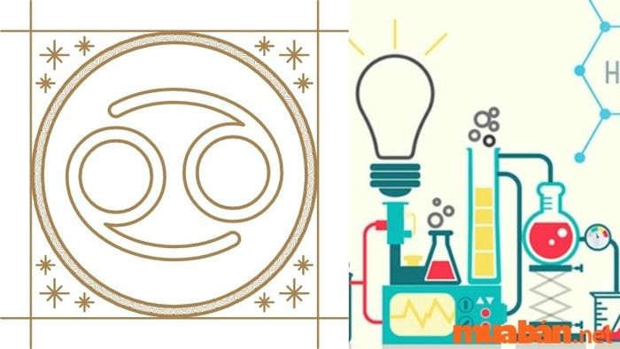 Môn Hóa là một trong những môn mà Cự Giải cảm thấy rất khó khăn - 12 cung hoàng đạo sợ môn gì nhất