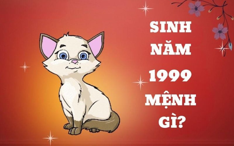 Một con mèo trắng đang nằm nghỉ ngơi, tượng trưng cho tuổi Mão 1999