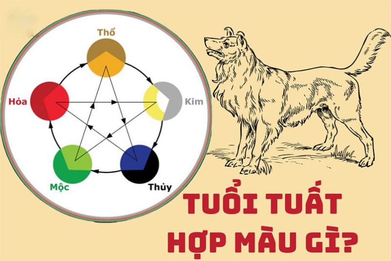Một người phụ nữ trẻ đang lựa chọn các tấm bảng màu sắc khác nhau để tìm màu hợp phong thủy cho mình