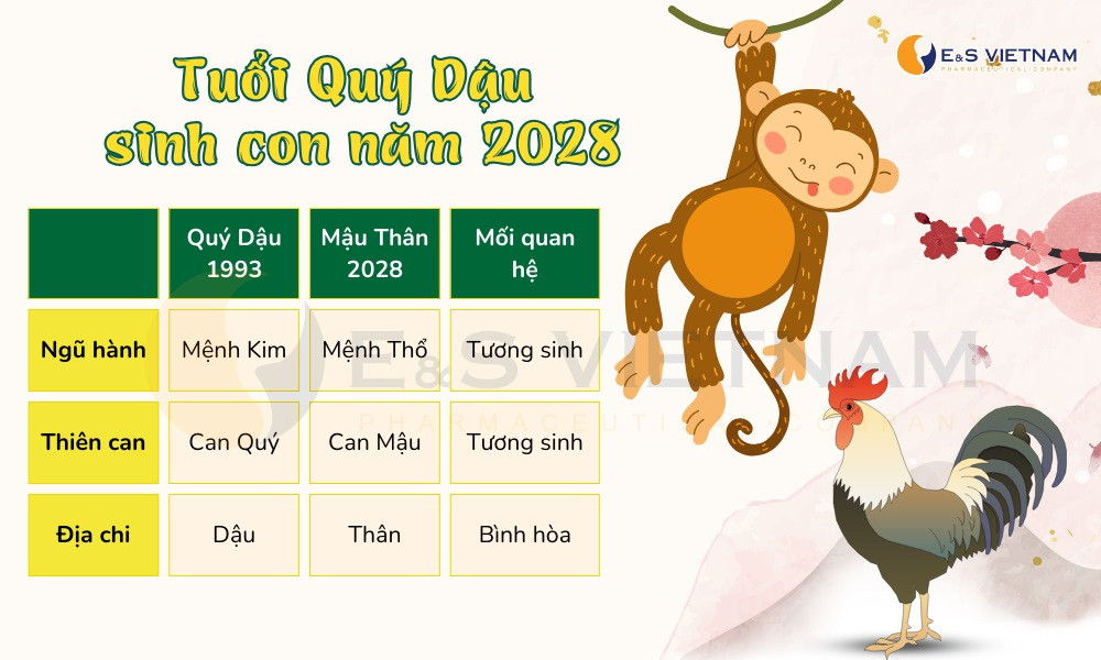 Năm 2028 là năm đẹp để tuổi Quý Dậu sinh con