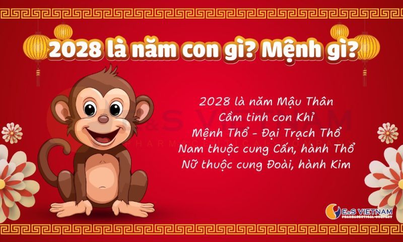Năm 2028 là năm Mậu Thân, năm con Khỉ, mệnh Thổ