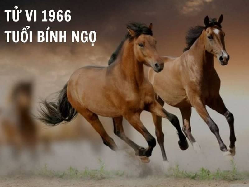 Nam Bính Ngọ 1966 đối mặt nhiều biến động trong tử vi tuổi Bính Ngọ 2026 nam mạng