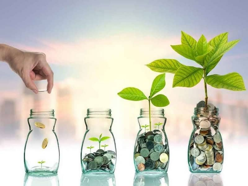 Nam Giáp Dần 2025 cần áp dụng mẹo quản lý tài chính phù hợp