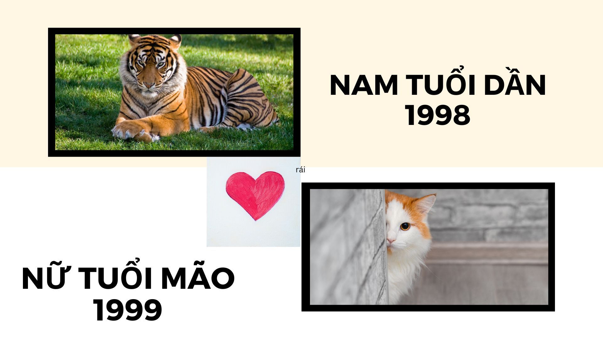 Nam giới tuổi Dần thể hiện ý chí mạnh mẽ và tinh thần làm việc chuyên nghiệp trong tử vi hàng ngày.