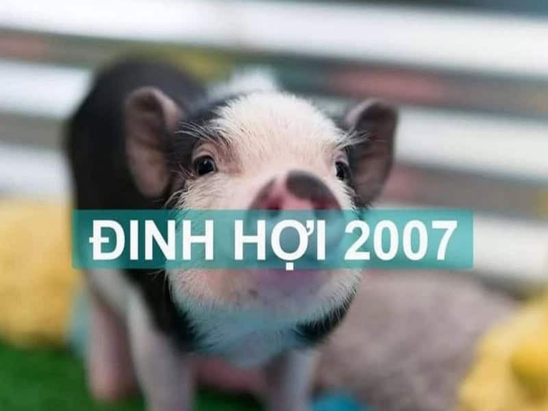 Nam mạng 2007 có thuận lợi trong học tập và thi cử năm 2025