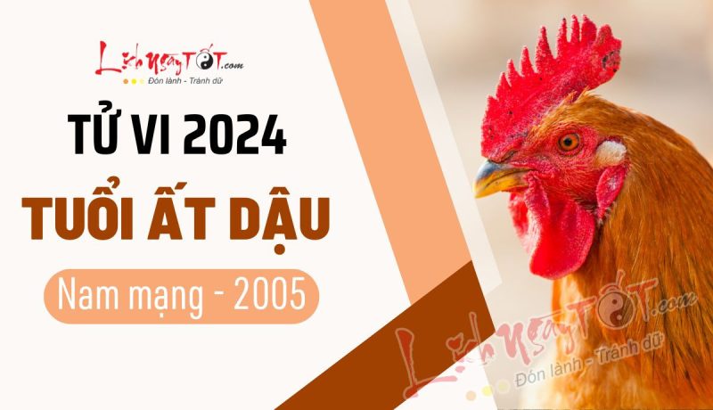 Nam mạng tuổi Ất Dậu 2005 chuẩn bị bước vào năm 2024 Giáp Thìn với nhiều dự định và vận trình mới.