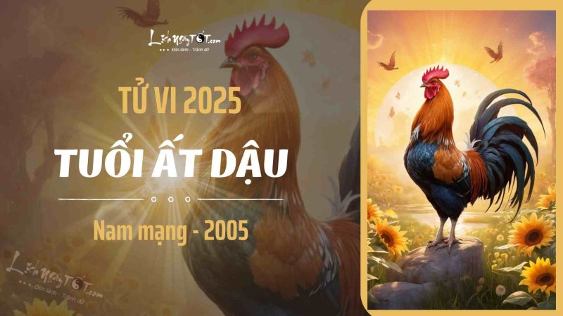Nam mạng tuổi Ất Dậu sinh năm 2005 đón chào năm 2025