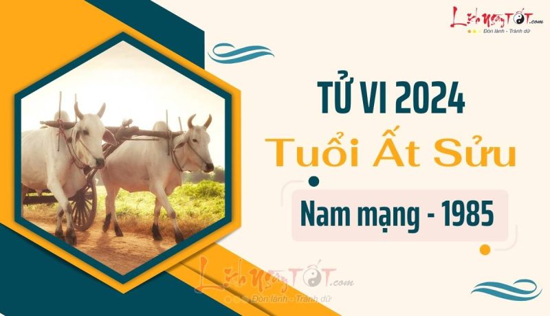 Nam nhân tuổi Ất Sửu 1985 chiêm nghiệm về tử vi nam mạng 1985 năm 2024