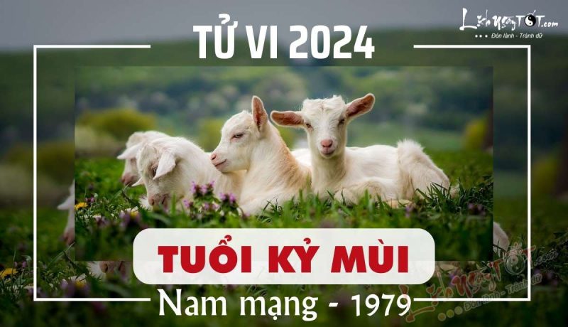 Người đàn ông trung niên đang xem tử vi, tượng trưng cho việc tìm hiểu về tử vi tuổi Kỷ Mùi năm 2024 nam mạng