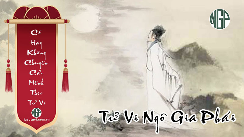 Người đang nghiên cứu các lá số tử vi để tìm hiểu vận mệnh và cách cải thiện