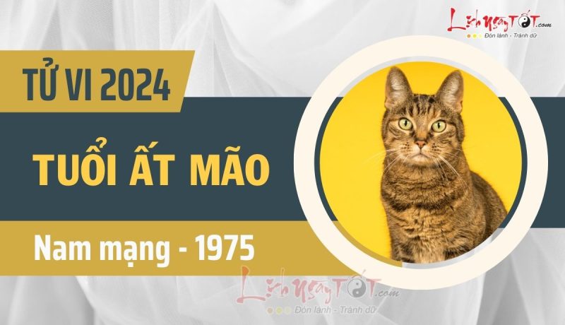 Người nam mạng Ất Mão chiêm nghiệm vận trình năm Giáp Thìn