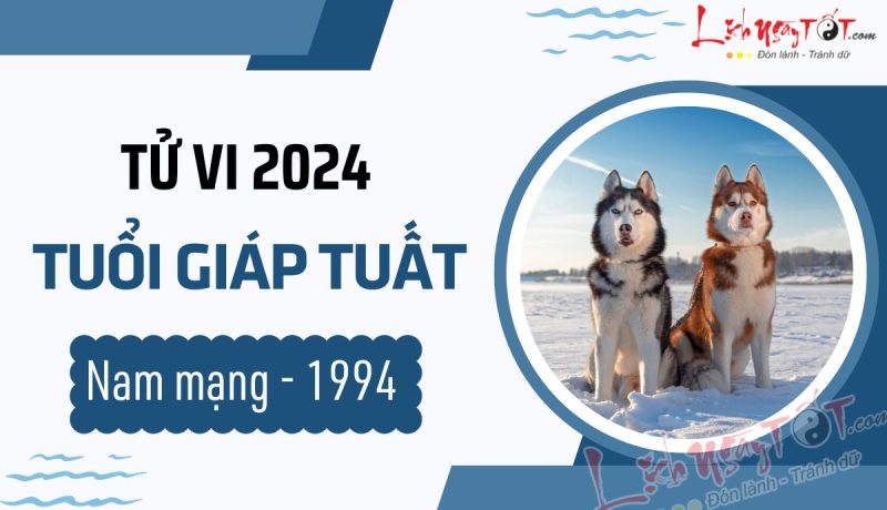 Người nam tuổi Giáp Tuất 1994 suy tư về vận mệnh năm 2024, minh họa cho tử vi 1994 nam mạng 2024