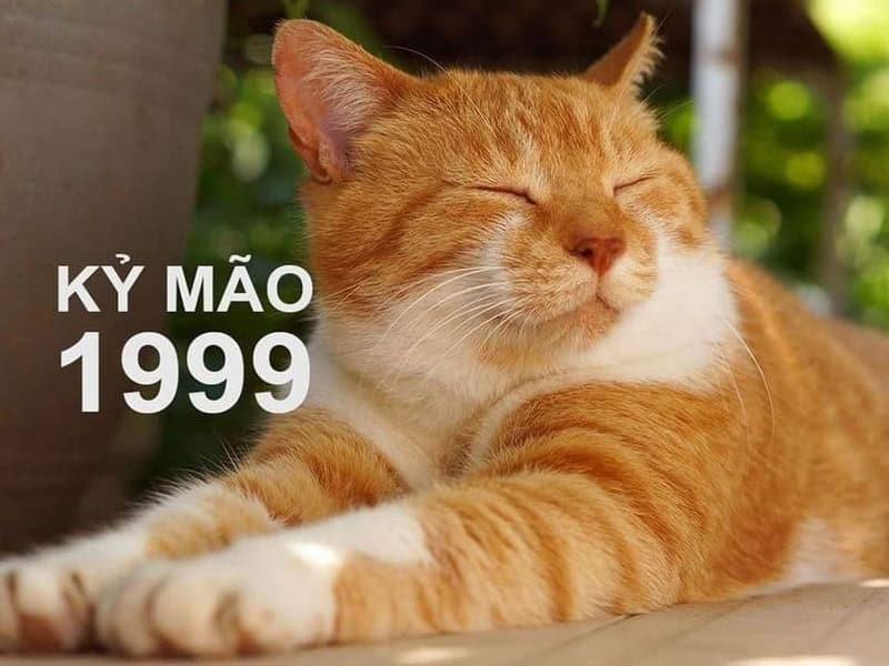 Người nữ Kỷ Mão 1999 suy tư về tử vi năm 2026 và những biến động trong cuộc sống.