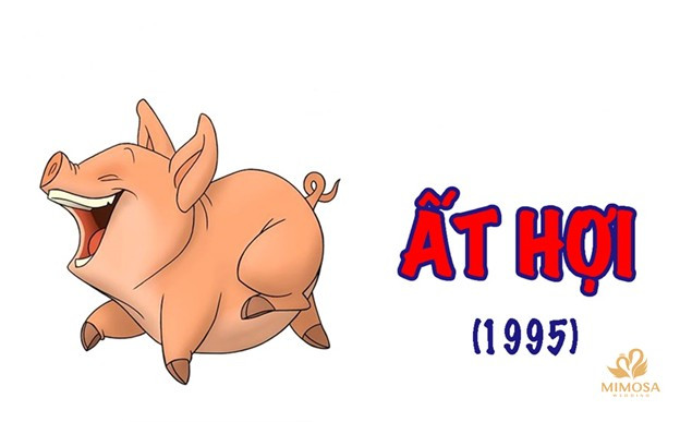 Người nữ sinh năm 1995 tuổi Ất Hợi theo phong thủy