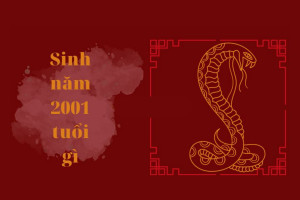 Người nữ sinh năm 2001 tuổi Tân Tỵ