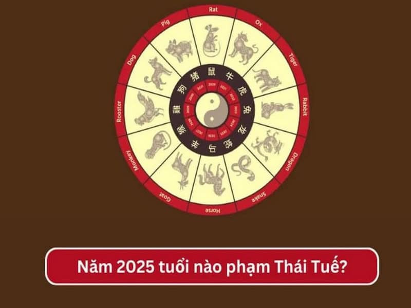 Người phụ nữ đang đọc sách về phong thủy, tìm hiểu về vận hạn tuổi của mình.