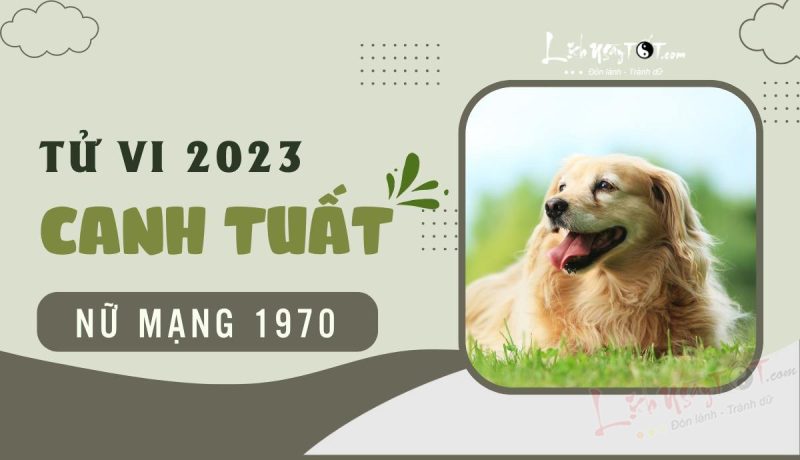 Người phụ nữ tuổi Canh Tuất 1970 đang chiêm nghiệm vận mệnh năm 2023