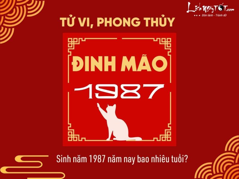 Người sinh năm 1987 tuổi con gì và bao nhiêu tuổi trong năm nay