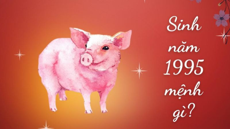 Người sinh năm 1995 mệnh gì