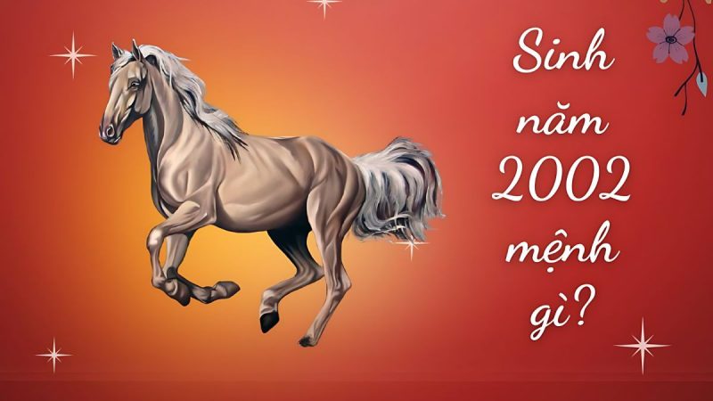 Người sinh năm 2002 mệnh Mộc Dương Liễu biểu tượng của sự mềm mại và tinh tế