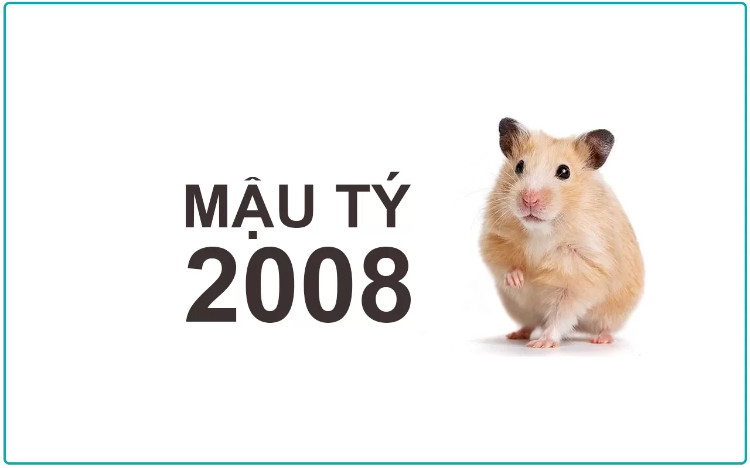 Người sinh năm 2008 bao nhiêu tuổi, năm con gì