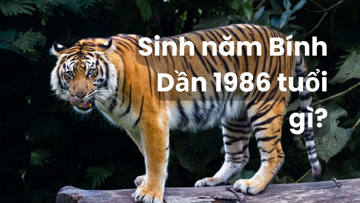 Người sinh năm 2009 thuộc tuổi Kỷ Sửu