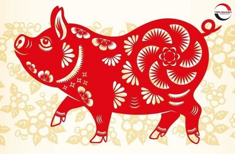 Người Thiên can Đinh Hợi