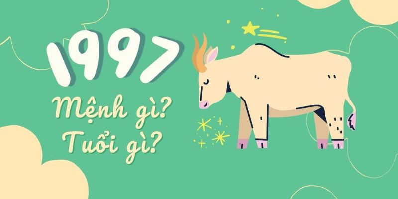 Người tuổi Đinh Sửu 1997 cầm tinh con trâu chăm chỉ, chân thành
