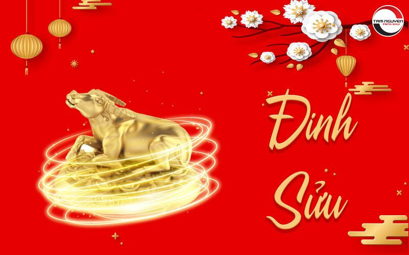 Người tuổi Đinh Sửu