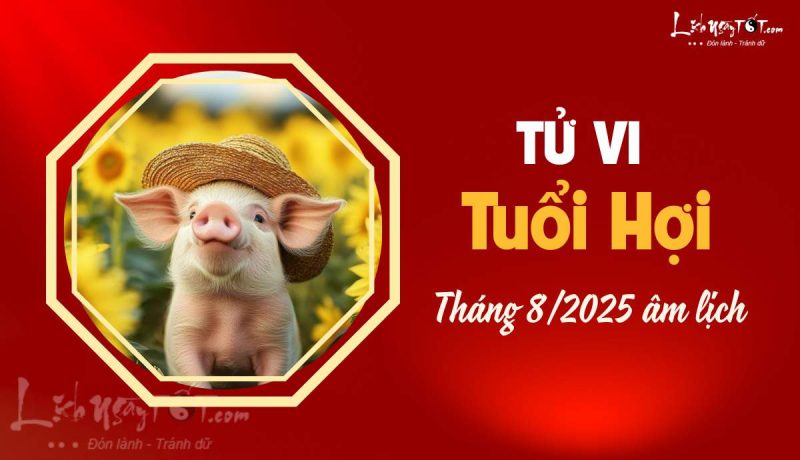 Người tuổi Hợi xem tử vi tháng mới nhất với biểu tượng chú heo vàng