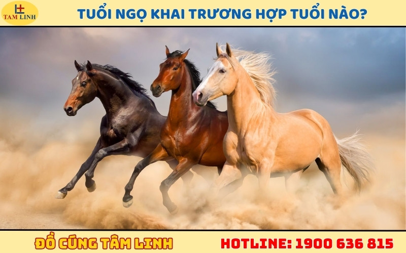 Người tuổi Ngọ lựa chọn người hợp tuổi để khai trương