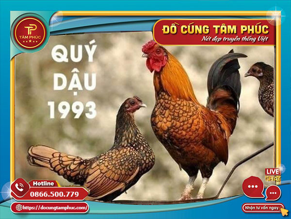 Người tuổi Quý Dậu 1993 chuẩn bị cho vận may kinh doanh