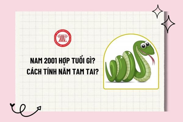 Người tuổi Tân Tỵ 2001 xem xét các yếu tố phong thủy để kết hôn và hóa giải tam tai