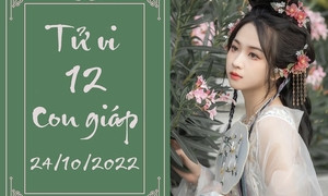 Người xem chiêm nghiệm về tử vi ngày 28 10 của 12 con giáp qua hình ảnh tượng trưng cho các linh vật.