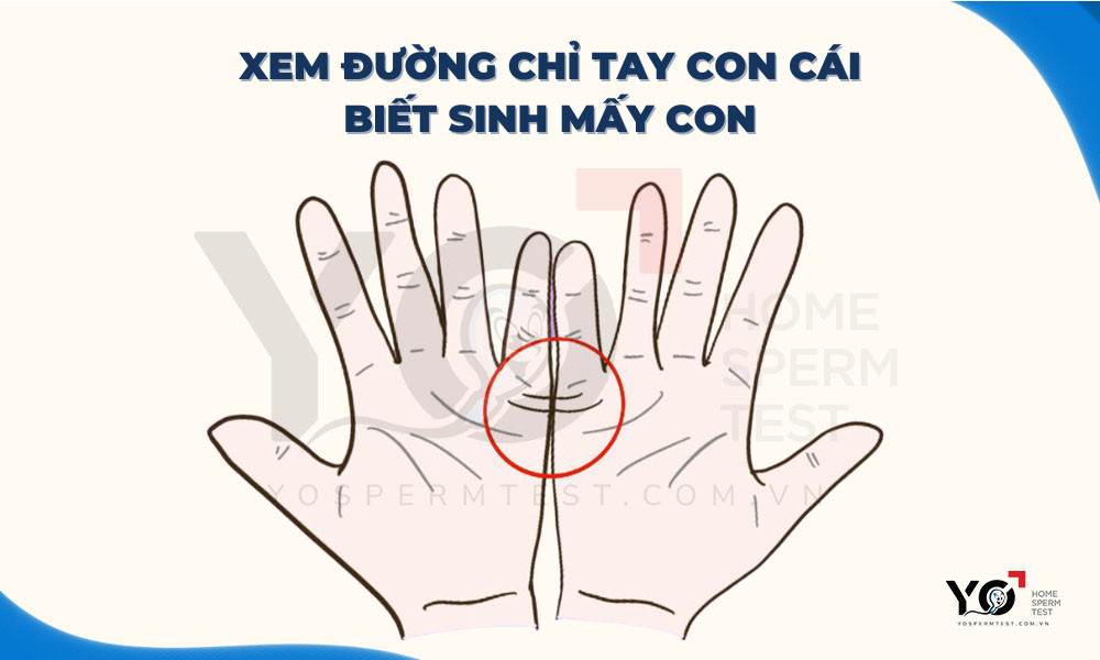 Nhận biết số lượng con cái tương lai qua đường chỉ tay