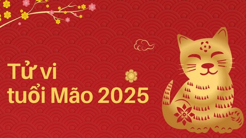 Nữ mạng Đinh Mão 1987 cần cẩn trọng trong năm 2025