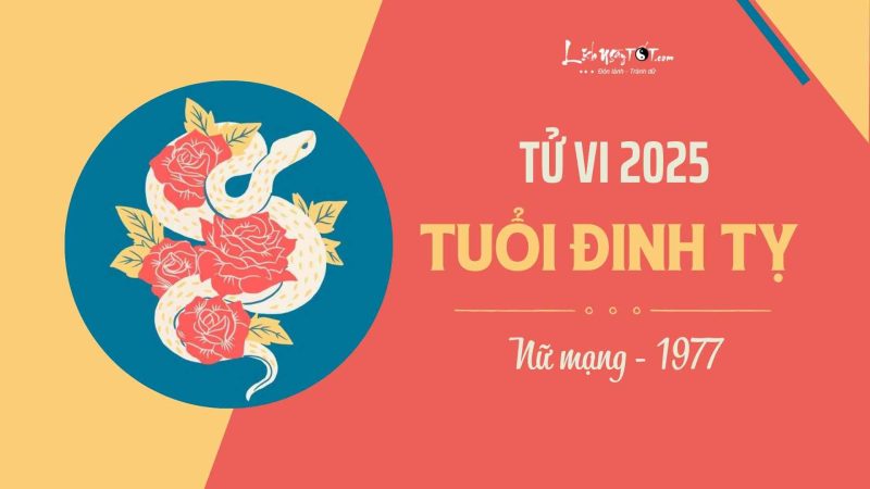 Nữ mạng Đinh Tỵ 1977 xem tử vi năm Ất Tỵ 2025