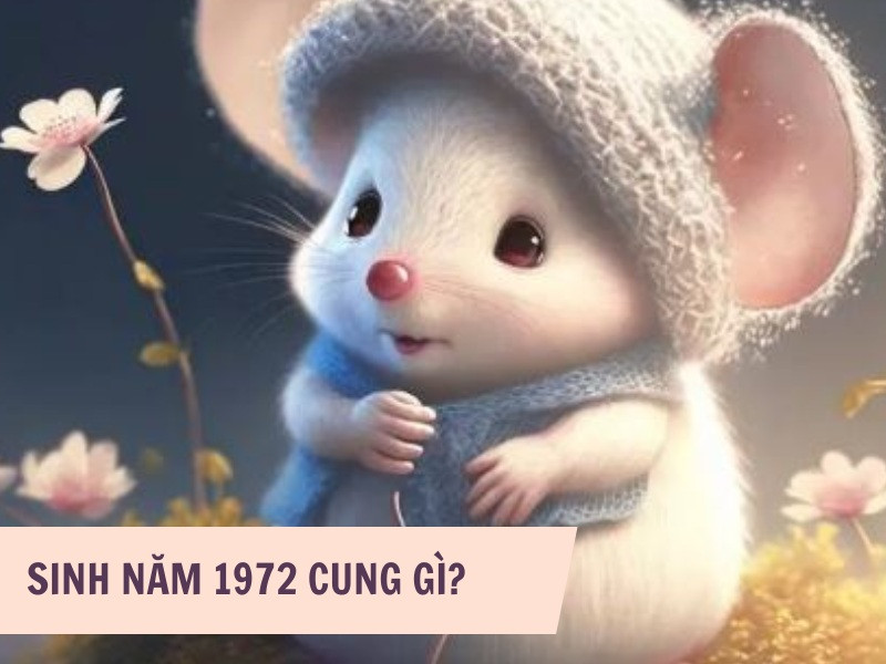 Nữ Nhâm Tý 1972 tìm hiểu về cung mệnh và phong thủy