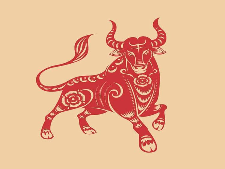 Nữ sinh năm 1985 thuộc tuổi Ất Sửu, mệnh Hải Trung Kim