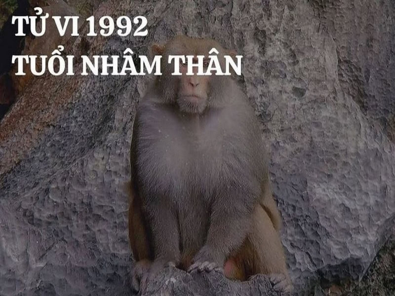 Nữ tuổi Thân đối diện với giai đoạn chuyển mình mạnh mẽ