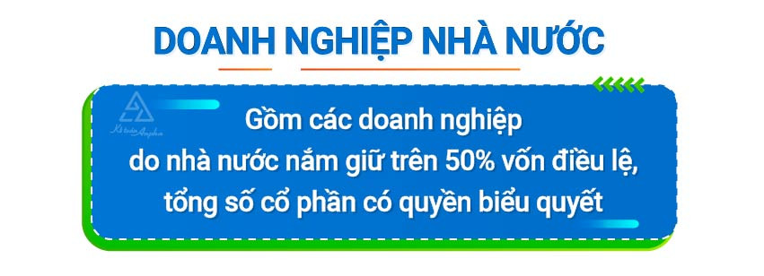 Ví Dụ Về Doanh Nghiệp Tư Nhân Tại Việt Nam