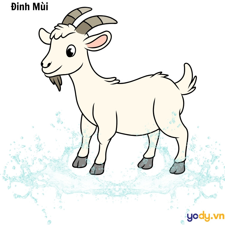 Phân tích tính cách người cầm tinh con dê