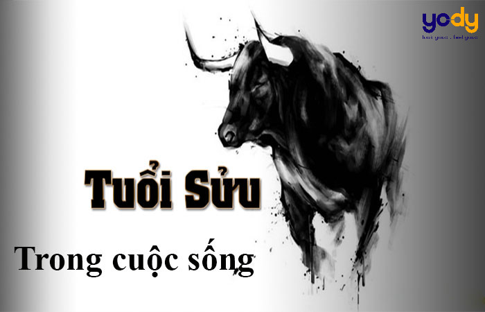 Phân tích tính cách người sinh năm 1997 tuổi con gì.