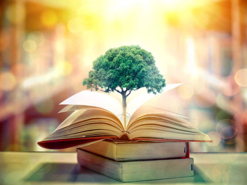 Phát triển học vấn cho tử vi Kỷ Mão năm 2025 nam mạng