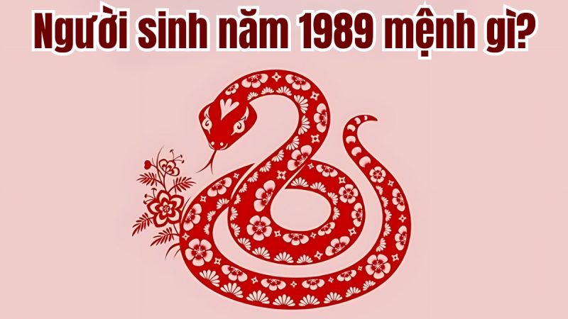 Phong thủy chọn tuổi hợp cho nam sinh năm 1989